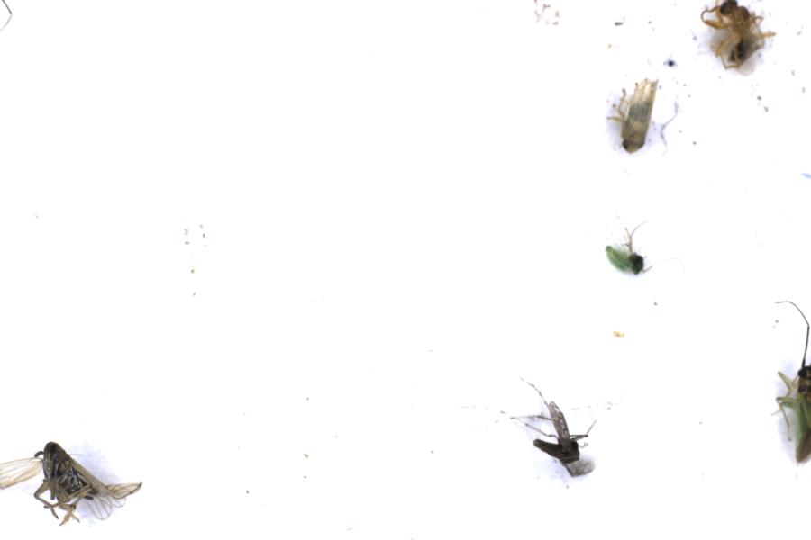 Image 23